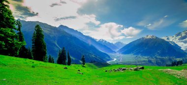 Sonamarg, Jammu ve Kashmir 'in karlı manzaralı güzel dağ manzarası, Hindistan