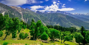 Sonamarg, Jammu ve Kashmir 'in karlı manzaralı güzel dağ manzarası, Hindistan