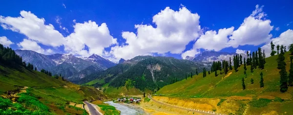 Sonamarg, Jammu ve Kashmir 'in karlı manzaralı güzel dağ manzarası, Hindistan — Stok fotoğraf