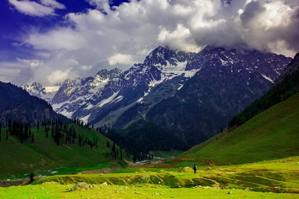 인도, 소나 마르그, 잠무 및 캐시 미르 주의 눈덮인 아름다운 산 풍경 — 스톡 사진