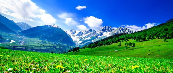 Beautiful mountain view with snow of Sonamarg, Jammu and Kashmir state, India — Stock Photo, Image