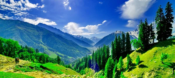 Hermosa vista de la montaña con nieve de Sonamarg, Jammu y el estado de Cachemira, India —  Fotos de Stock