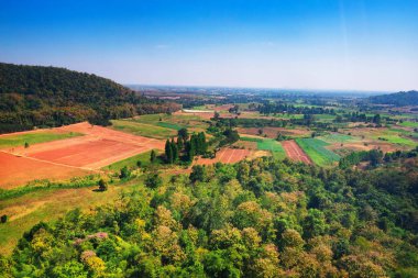 Kez birçok çiftçi ormanları bitkileri dikim için daha fazla toprak sağlamak için kesmek