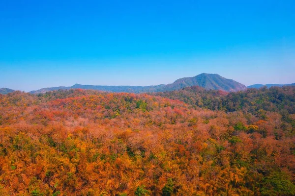 Aerial view of autumn forest — Stock Photo, Image