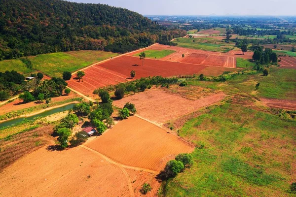 Often many farmers cut forests to provide more land for planting crops — Stock Photo, Image