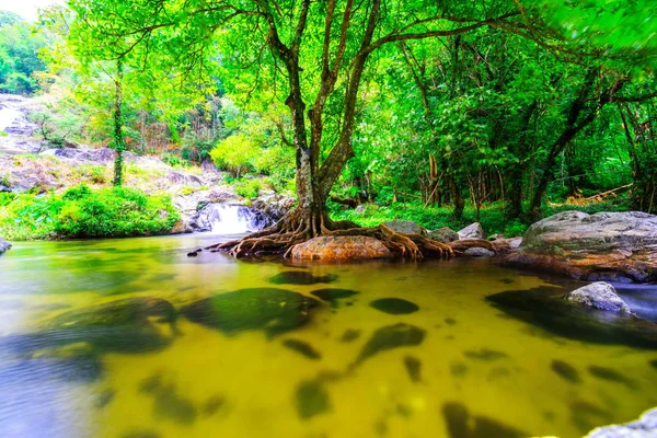 Yumuşak su akışı doğal park — Stok fotoğraf