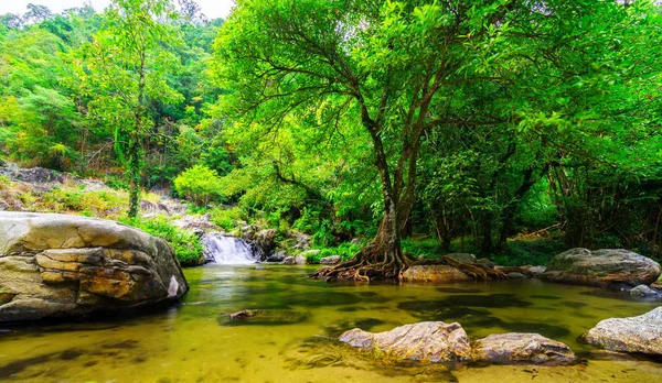 Yumuşak su akışı doğal park — Stok fotoğraf