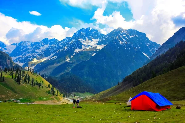 Sonamarg, Jammu ve Kashmir 'in karlı manzaralı güzel dağ manzarası, Hindistan