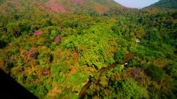 Вид с воздуха на осенний лес — стоковое видео