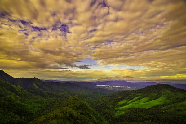 Paesaggio della foresta di montagna, la vista dalle cime degli alberi al tramonto, l'effetto della luce solare — Foto Stock