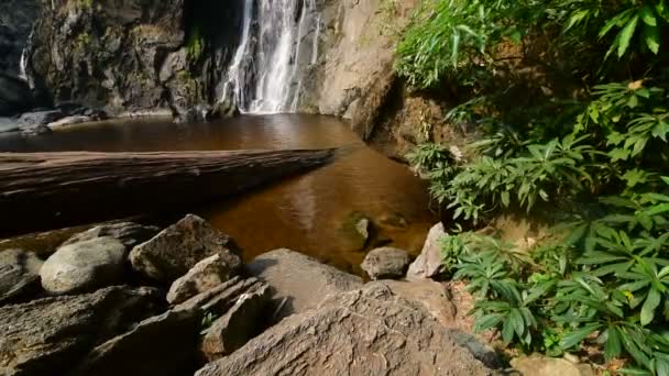 Waterval in het bos — Stockvideo