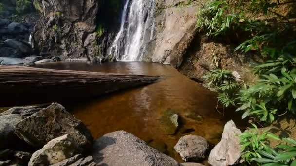 Cascada en el bosque — Vídeo de stock