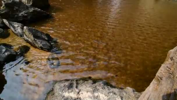 cascade dans la forêt