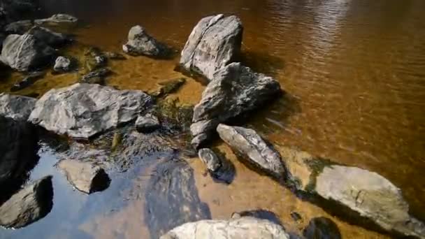 Cascada en el bosque — Vídeos de Stock