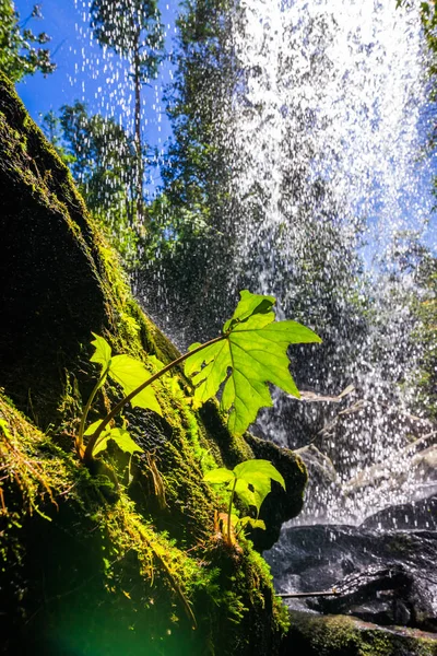 Landschaft Foto von schönen Wasserfall im Regenwald — Stockfoto