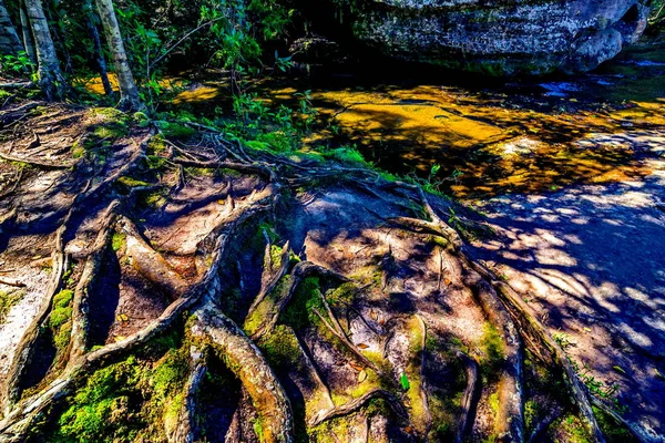Пейзаж фото красивого водопада в тропических лесах — стоковое фото
