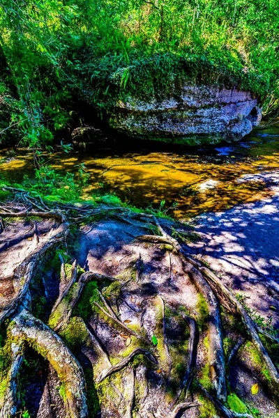 Landscape photo of beautiful waterfall in rainforest — Stock Photo, Image