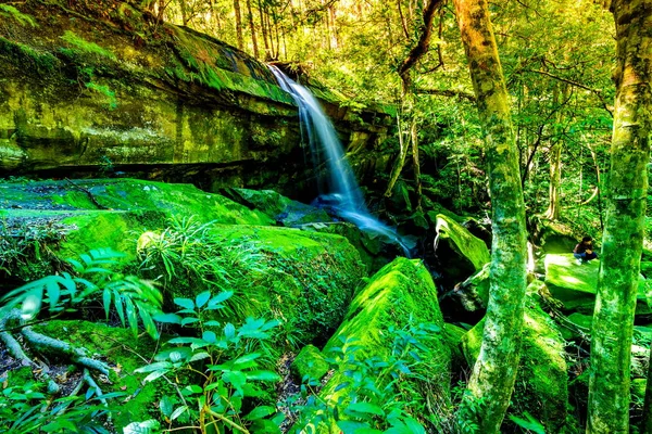 Landscape photo of beautiful waterfall in rainforest — Stock Photo, Image