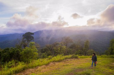 tropik yağmur ormanı