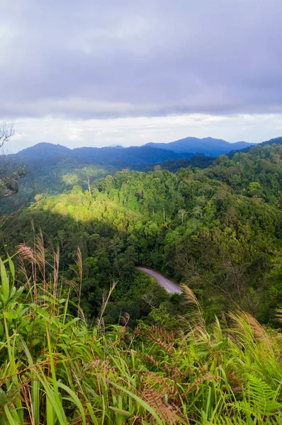 Straße in Berg und Wald — Stockfoto