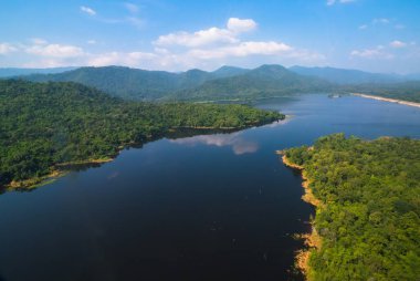 Ormandaki nehir havadan görünümü