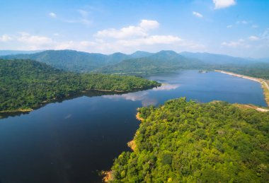 Ormandaki nehir havadan görünümü