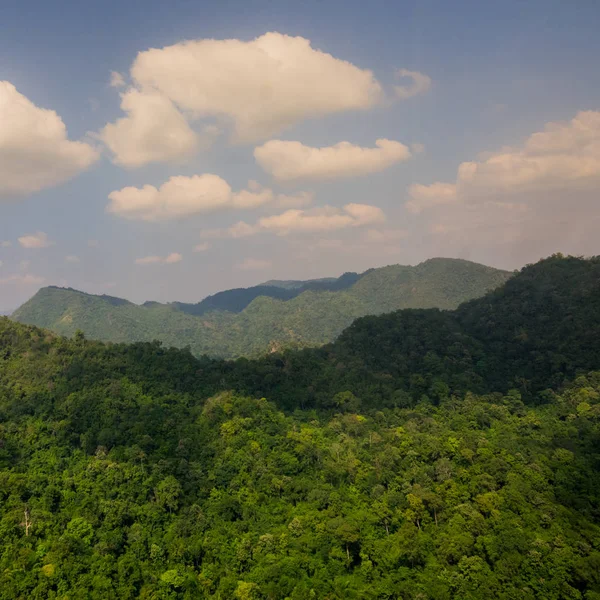 Ormanın havadan görünüşü