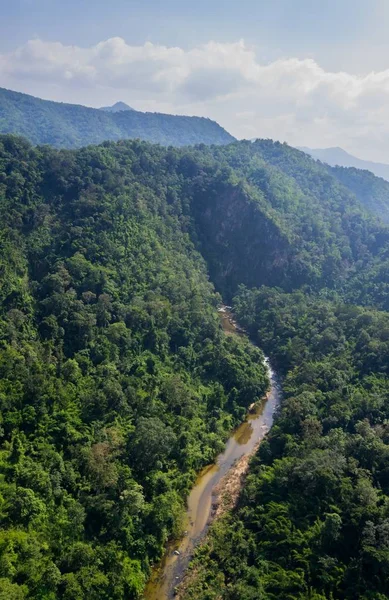 Ormanın havadan görünüşü