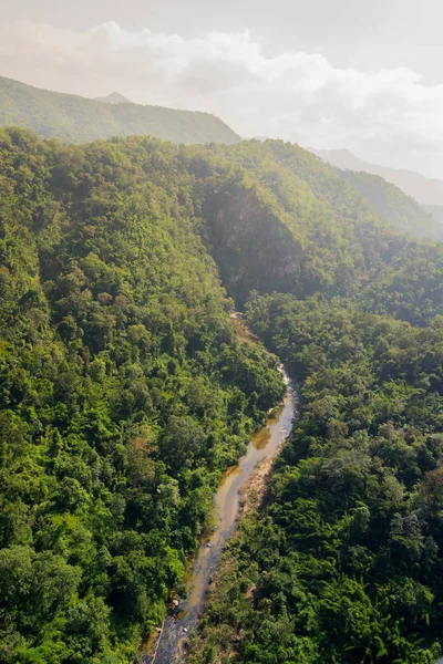 Ormanın havadan görünüşü