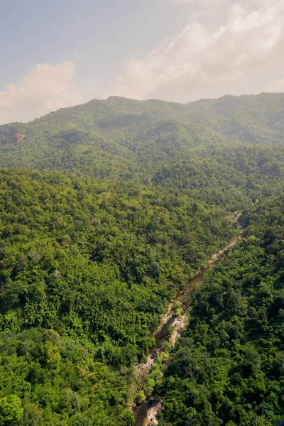 Ormanın havadan görünüşü