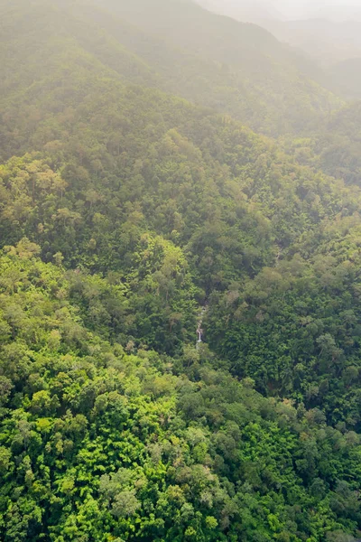 Ormanın havadan görünüşü