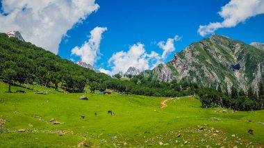 Sonamarg, Kaşmir devlet, Hindistan, güzel dağ manzarası