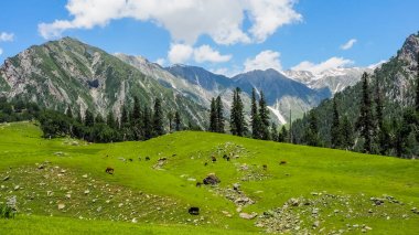 Sonamarg, Kaşmir devlet, Hindistan, güzel dağ manzarası