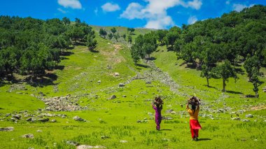Sonamarg, Kaşmir devlet, Hindistan, güzel dağ manzarası
