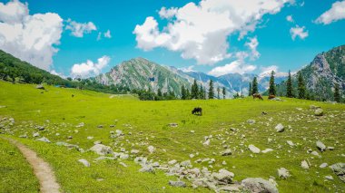 Sonamarg, Kaşmir devlet, Hindistan, güzel dağ manzarası