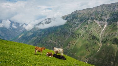 Sonamarg, Kaşmir devlet, Hindistan, güzel dağ manzarası