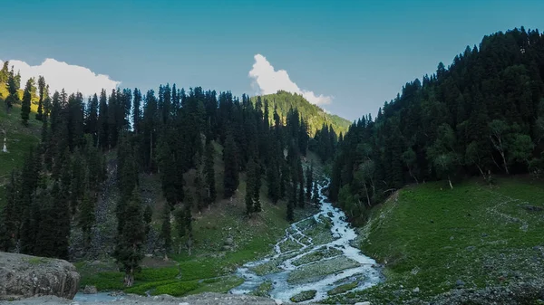 Горный ландшафт Сонамарга, штат Кашмир, Индия — стоковое фото