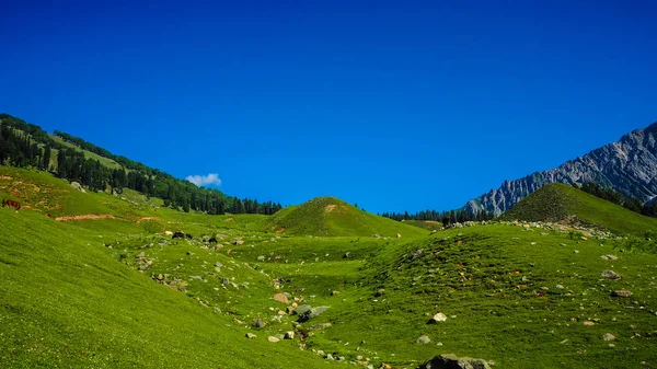 Hermoso paisaje de montaña de Sonamarg, estado de Cachemira, India —  Fotos de Stock