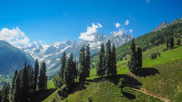 Hermoso paisaje de montaña de Sonamarg, estado de Cachemira, India — Foto de Stock