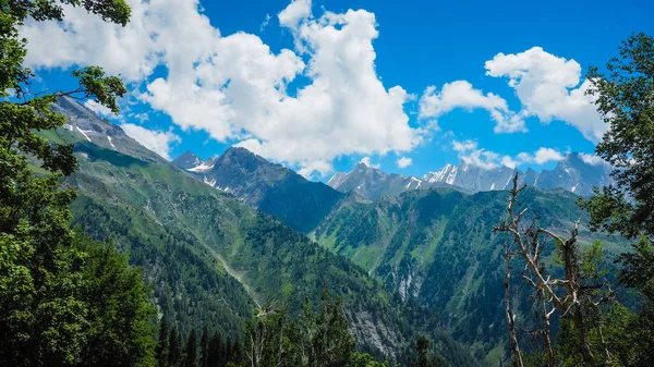 食事、カシミール州、インドの美しい山の風景 — ストック写真