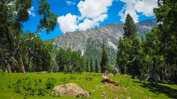 Sonamarg, Kaşmir devlet, Hindistan, güzel dağ manzarası