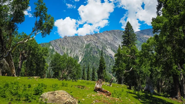 Sonamarg, Kaşmir devlet, Hindistan, güzel dağ manzarası