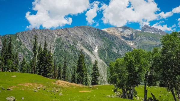 Bellissimo paesaggio montano del Sonamarg, stato del Kashmir, India — Foto Stock