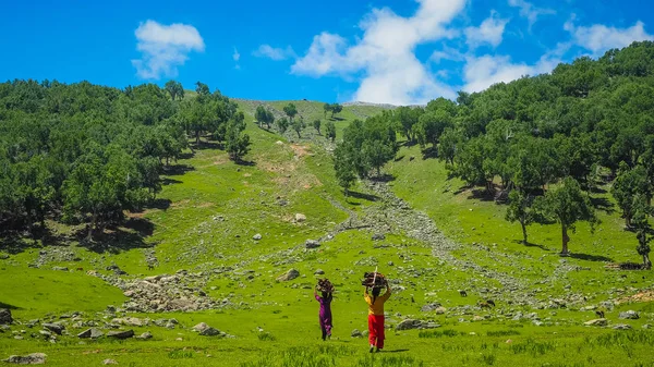 Beau paysage de montagne de Sonamarg, État du Cachemire, Inde — Photo