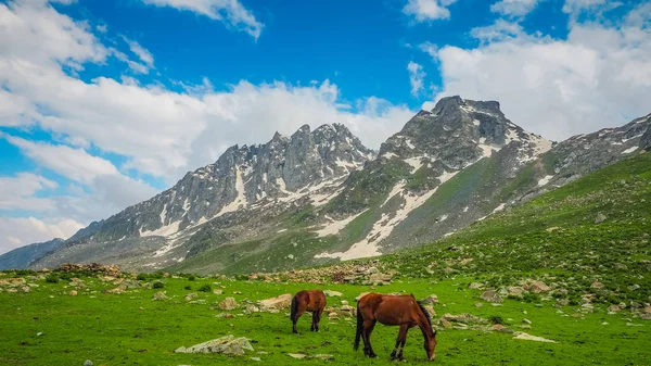Sonamarg, Kaşmir devlet, Hindistan, güzel dağ manzarası