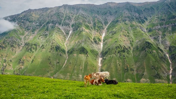 Beautiful mountain landscape of Sonamarg, Kashmir state, India — Stock Photo, Image