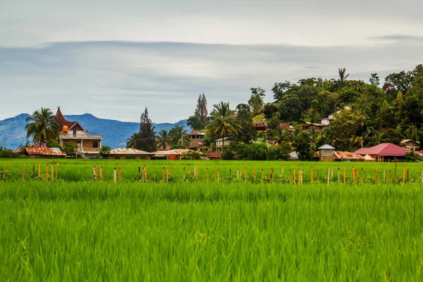 Scena rurale dell'isola di Samosir, Indonesia — Foto Stock