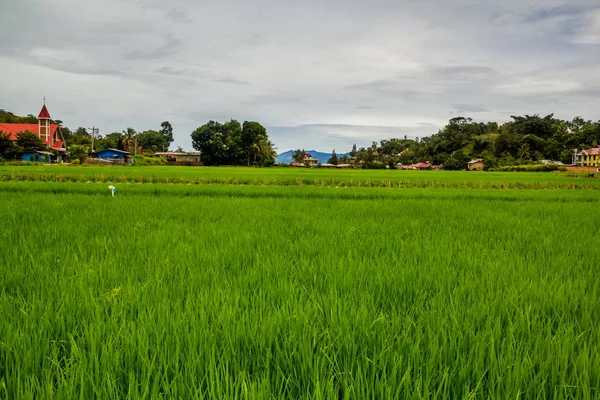 Adegan pedesaan Pulau Samosir, Indonesia — Stok Foto