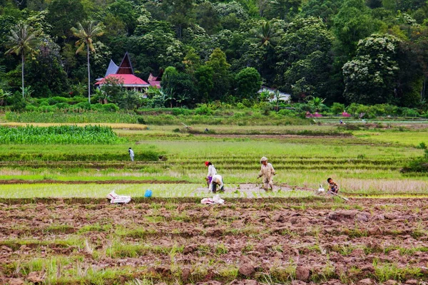 Scena rurale di Tuk Tuk Island, Indonesia — Foto Stock
