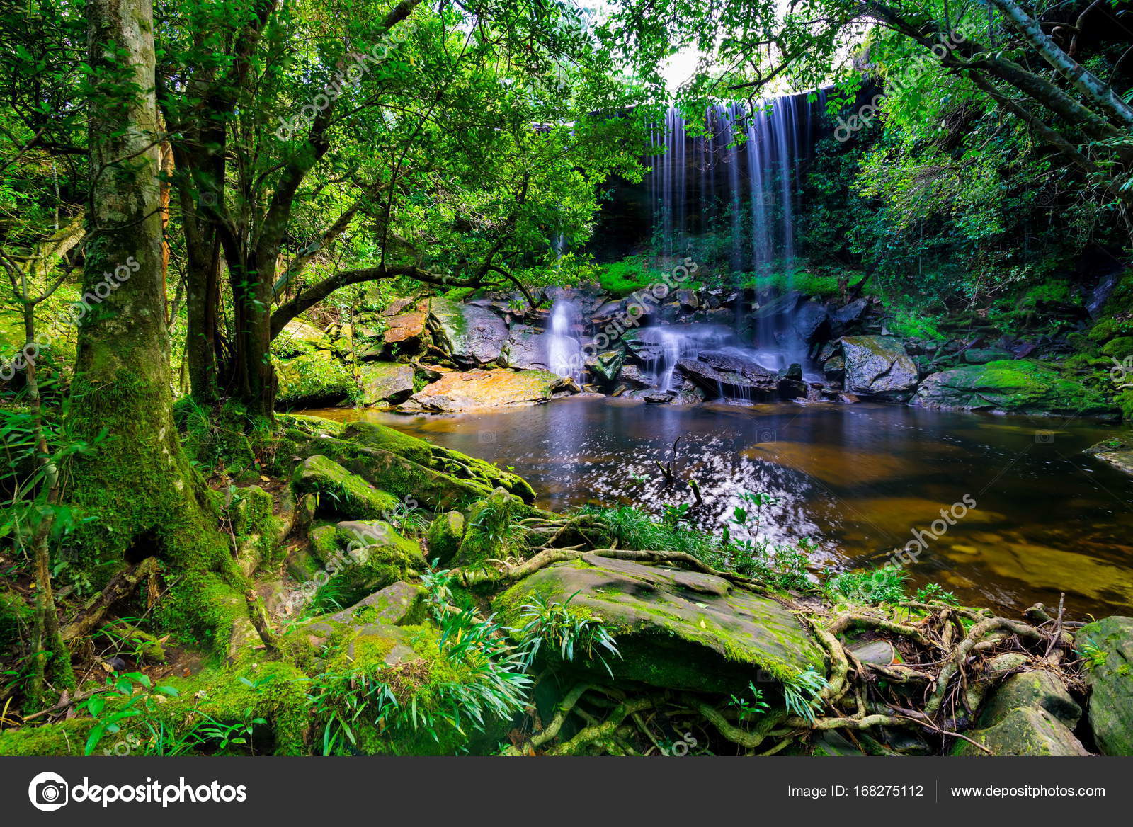 Tropical Rainforest Waterfalls With Flowers